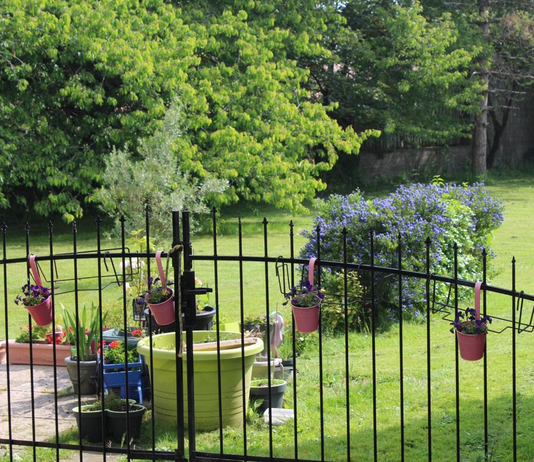 Chez Martine Et Bernard Bed & Breakfast Saint-Vincent-Sterlanges Exterior foto